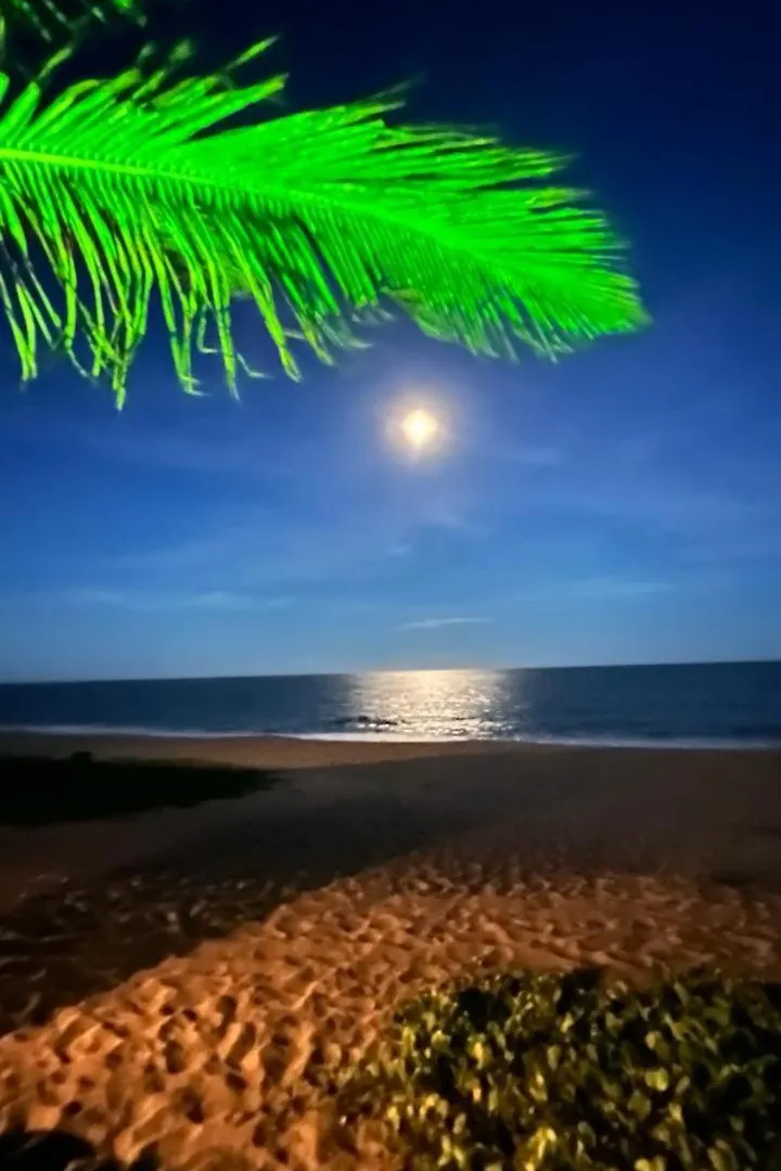 Bibis House Lejlighed Porto Seguro